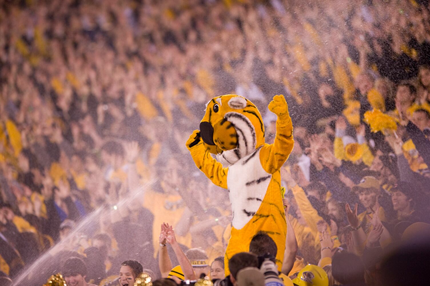 Truman the Tiger, Missouri
