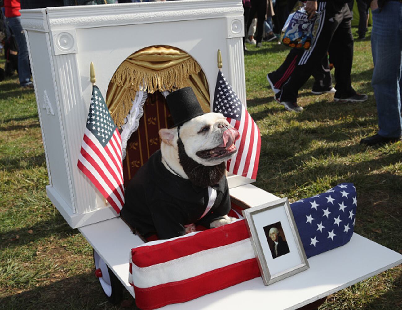 Photos: Dogs put on their HOWLoween best for Barkfest