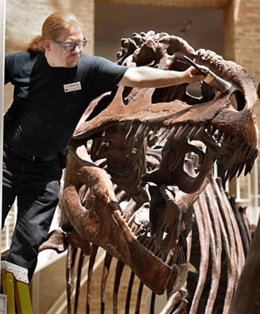 Atlanta dinosaurs get all cleaned up
