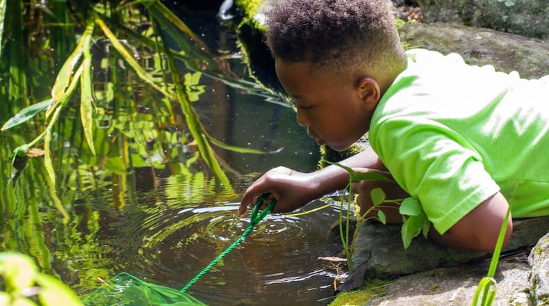 The Melvin L. Newman Wetlands Center is hosting its inaugural We Are Water weekend to recognize wetlands education and diversity in nature, on February 1-2, 2025 in Hampton, Georgia.