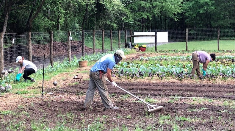 The staff at the Chattahoochee Nature Center work at the Unity Garden, which produces hundreds of pounds of vegetables for the North Fulton Community Charities every week. CONTRIBUTED: JULIE HOLLINGSWORTH