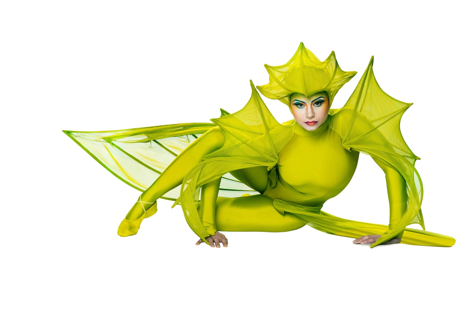 Cirque du Soleil's 'Varekai' hits Duluth
