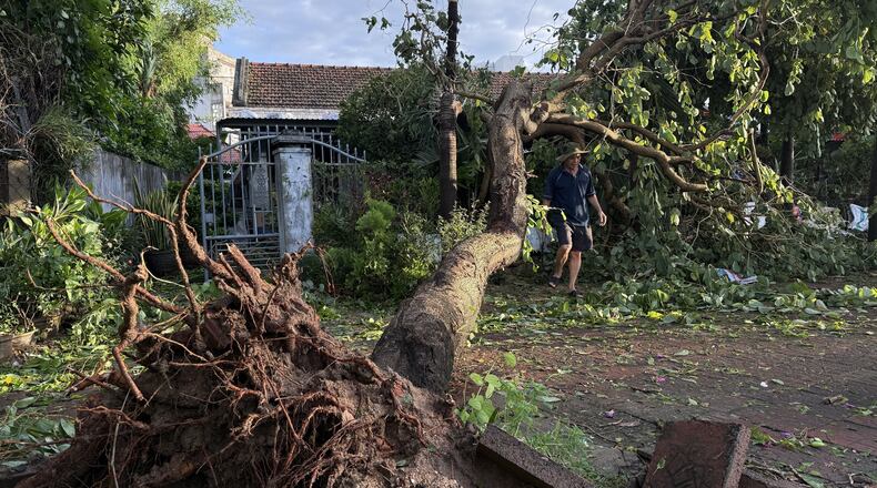 A man walks past an uprooted tree in Dak Lak, Vietnam, on Friday, Nov. 7, 2025 after Typhoon Kalmaegi lashed the country with fierce winds and torrential rains. (Tuong Quan/VNA via AP)