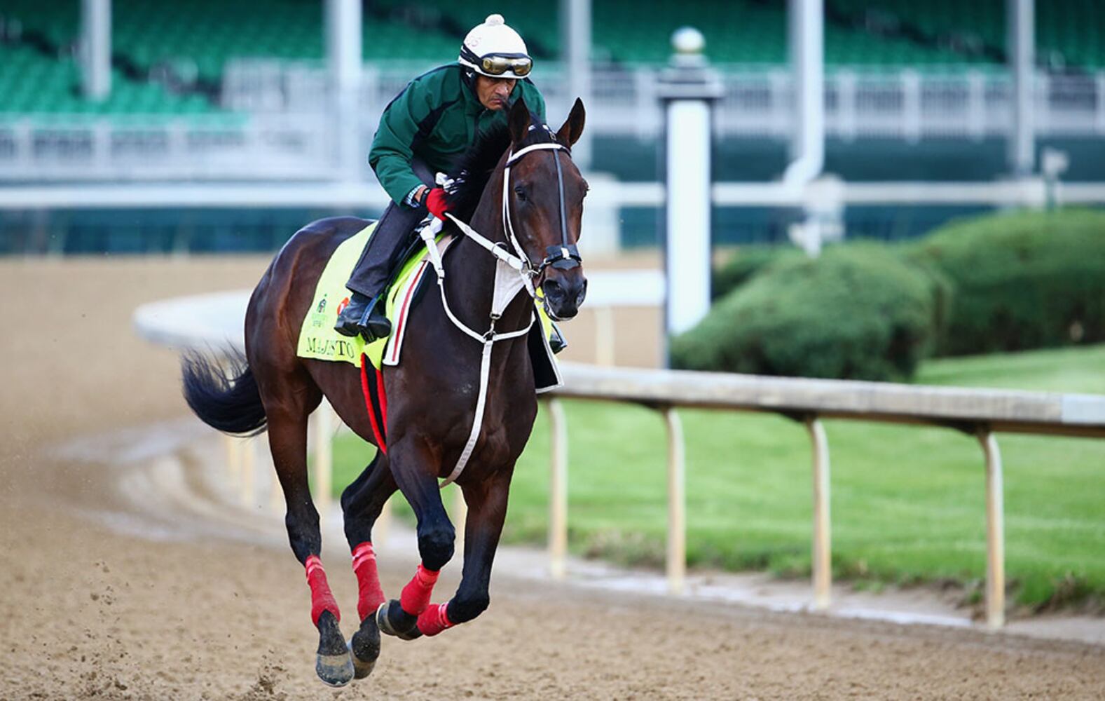2016 Kentucky Derby field