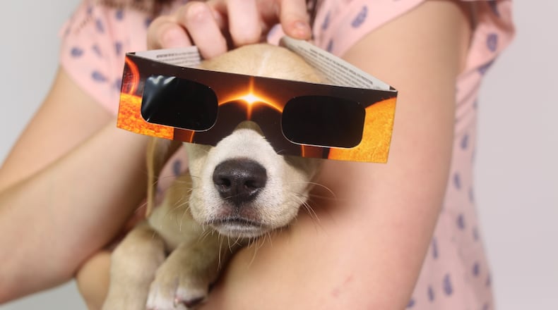 The "Total Eclipse of Your Heart" programs aims to unite hundreds of pets with families before the solar eclipse.