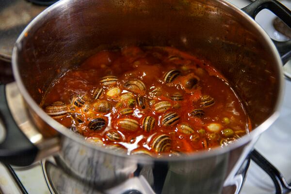 Snails are cooked in a stew for a family to break their Ramadan fast, in Sfax, Tunisia, March 29, 2025. (AP Photo/Ons Abid)