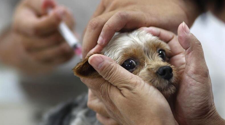 The Cherokee County Animal Shelter in Canton announced a free microchipping clinic for pets, by appointment only June 30 and July 1-2. AP / WALLY SANTANA / AJC FILE