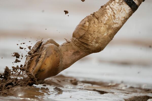 A horse trots in the muck at Churchill Downs before the 151st running of the Kentucky Derby horse race Saturday, May 3, 2025, in Louisville, Ky. (AP Photo/Brynn Anderson)
