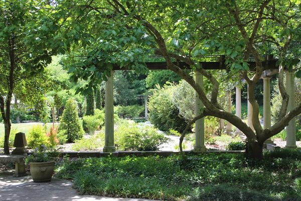 Among the current blooms in the Cator Woolford Gardens are lenten roses, asters, daisies, hydrangea varieties, homestead verbena, woodland phlox, Japanese iris, astilbe, climbing roses, borage, and blue-eyed grass. Contributed by Frazer Center
