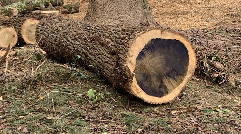 The heartwood of a log is easily seen. Tannins and other decay-resistant chemicals are stored here by the tree. (Walter Reeves for The Atlanta Journal-Constitution)