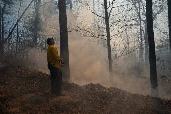 A firefighter watches a helicopter as he works a backburn to control the Black Cove Fire Wednesday, March 26, 2025, in Saluda, N.C.. (AP Photo/Allison Joyce)