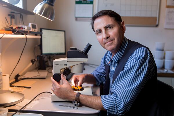 Assistant research scientist Andy Davis with a monarch butterfly under a microscope in his lab at the Ecology Building on campus.