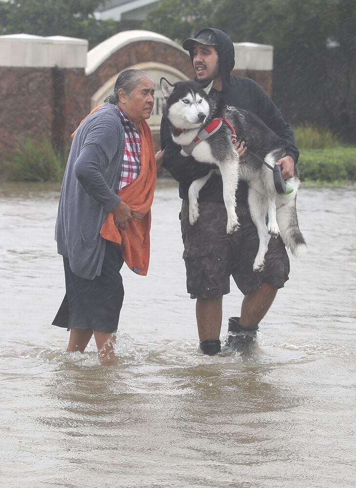 Photos: Harvey's impact on people and their pets