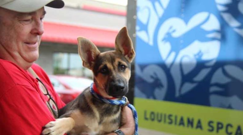 Atlanta’s Humane Society is helping the Louisiana SPCA in its animal rescue efforts from Hurricane Harvey.