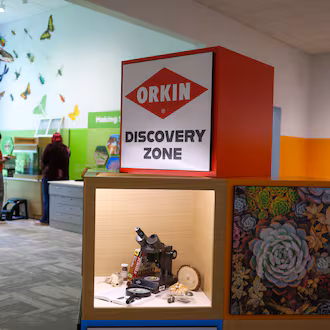 The Orkin Discovery Zone, a new exhibit at the Fernbank Museum in Atlanta, opens on Saturday as part of the museum’s $27 million renovation. (Arvin Temkar/AJC)