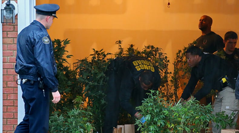 Atlanta police remove more than 250 marijuana plants valued at over a half million dollars after busting a grow operation at a home in the Glen subdivision on Monday, March 11, 2013, in Atlanta.