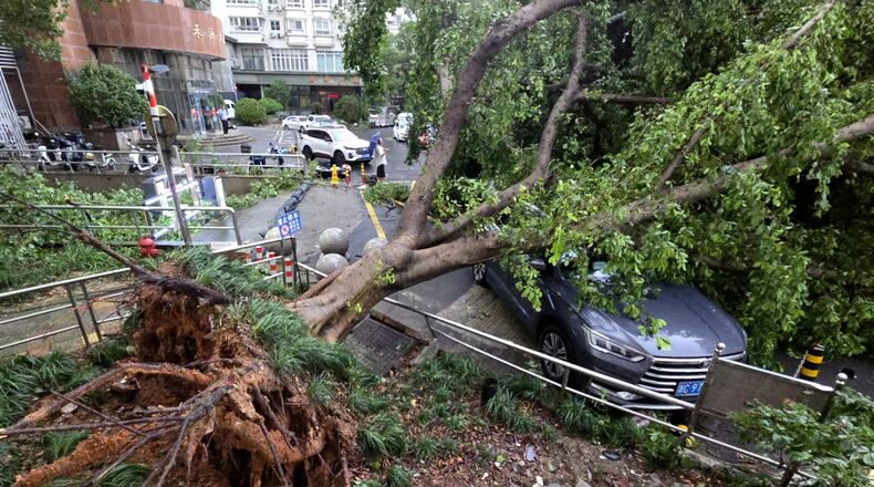 A car is pinned by a fallen tree in the aftermath of Typhoon Dolphin in Wenzhou in eastern China's Zhejiang province, Monday, Aug. 10, 2026. (Chinatopix Via AP)