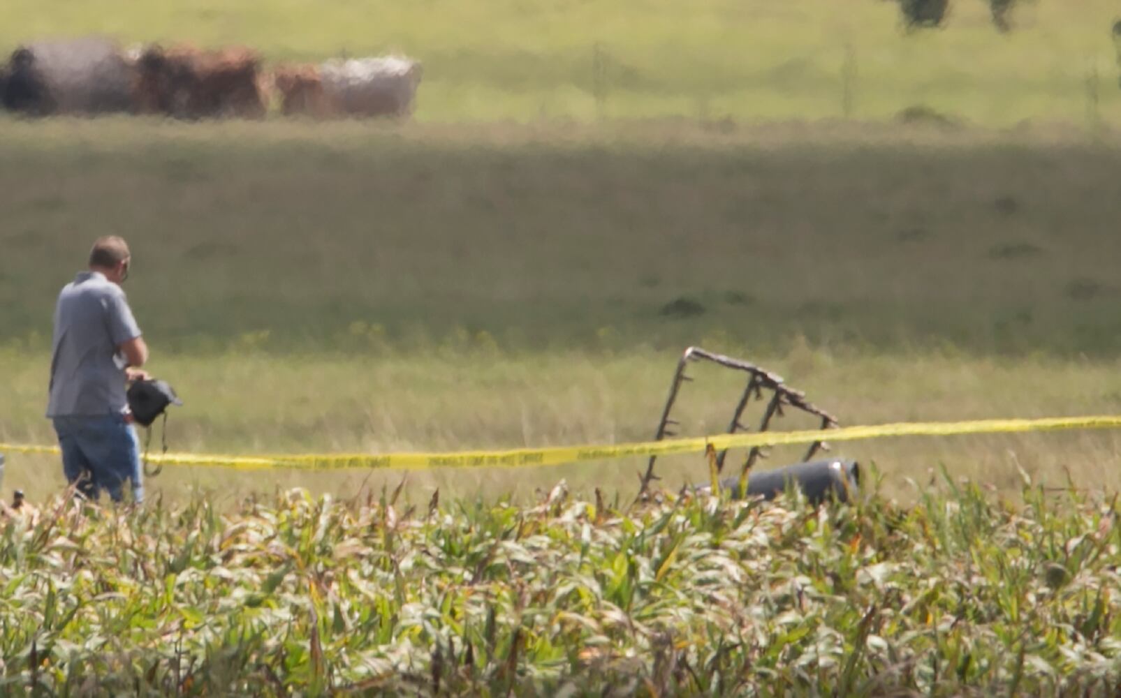 Fatal balloon crash, 07.30.16