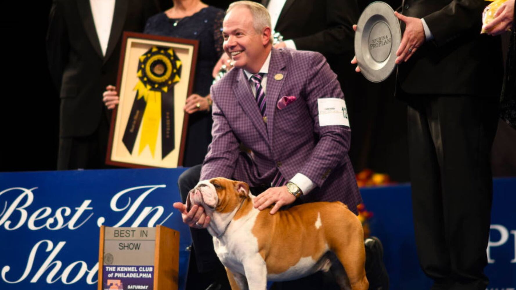 Photos: 2019 National Dog Show