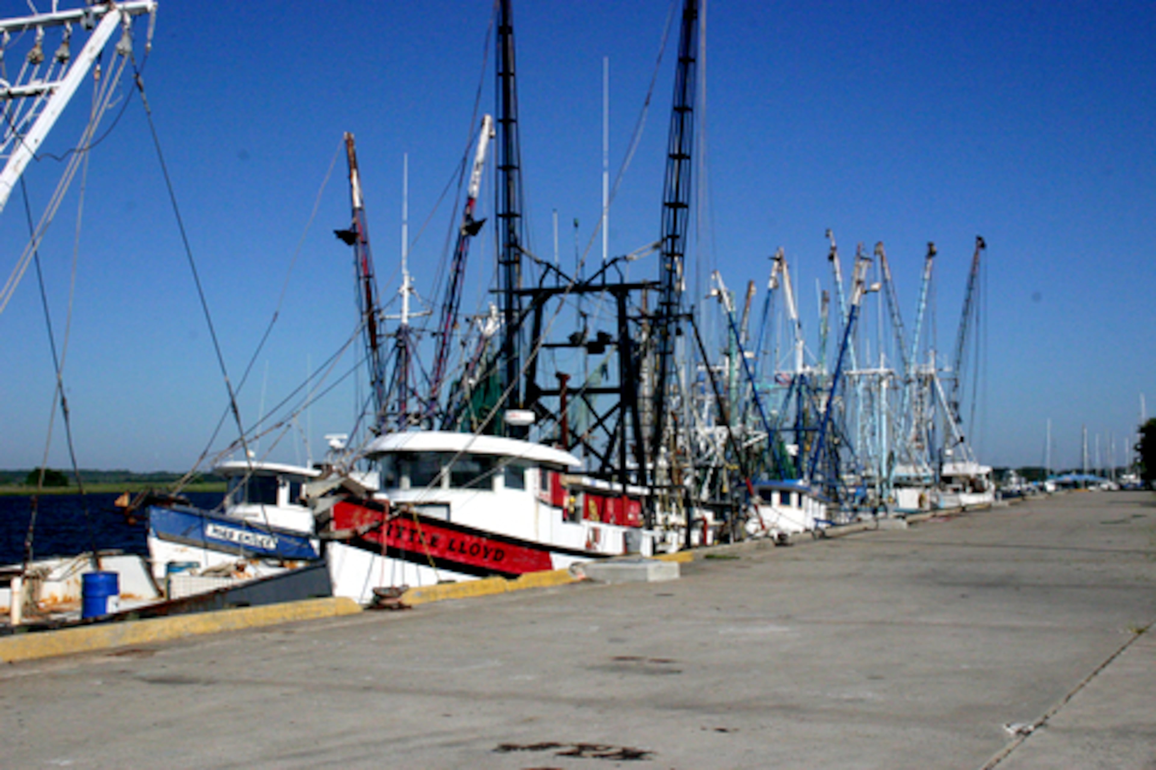 Shrimp boats line the docks along the Brunswick waterfront. (File photo; courtesy Brunswick-Golden Isles Convention and Visitors Bureau)