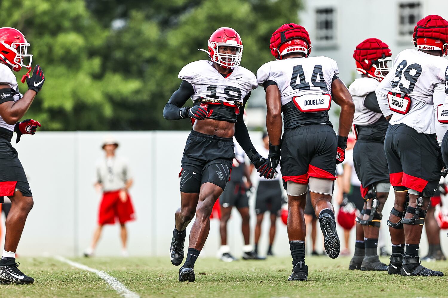 Georgia Bulldogs