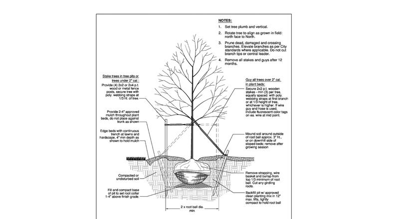 Sandy Springs recently approved an amendment to the city's Technical Manual regarding landscape, tree and buffer submittal plans and planting standards. COURTESY CITY OF SANDY SPRINGS