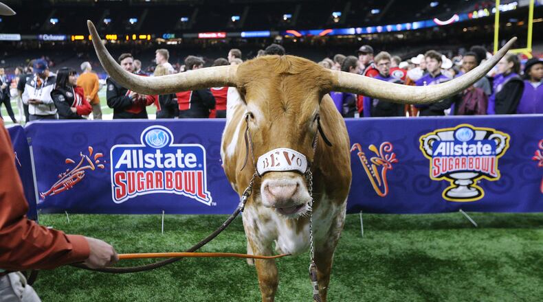 The Texas mascot Bevo at the Allstate Sugar Bowl.    Curtis Compton/ccompton@ajc.com