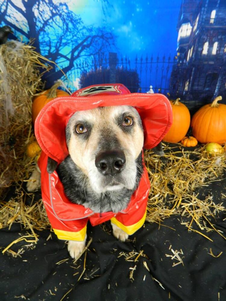 Fergus