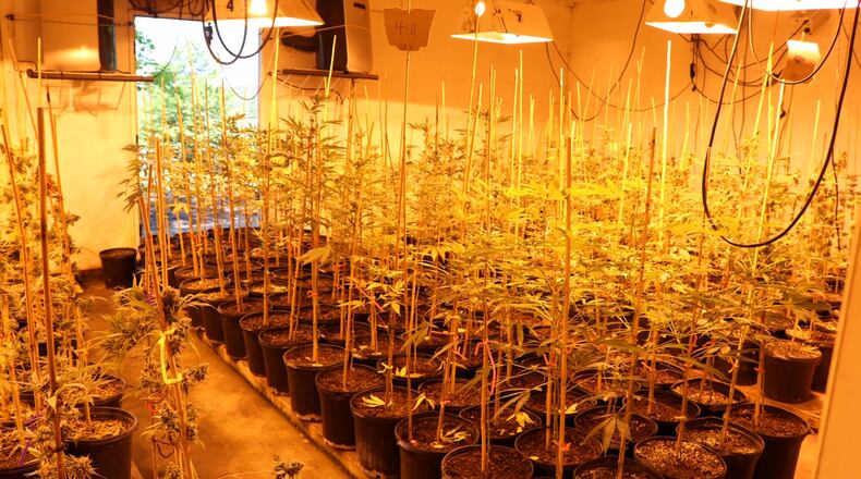 A marijuana grow operation in northeast Georgia had a lighting system.