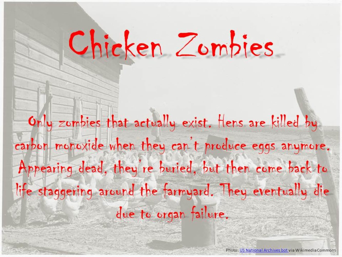 Zombies