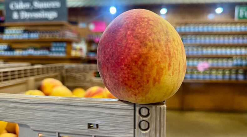 Picking out the perfect peach like this one at Lane Southern Orchards' market in Peach County is part art, part luck of the draw. (Joe Kovac Jr./AJC)