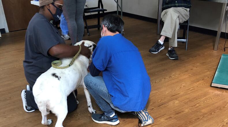 Volunteers and clients are pictured at a PALS  (Pets Are Loving Support) shot clinic. Everyone pictured is wearing a face mask.