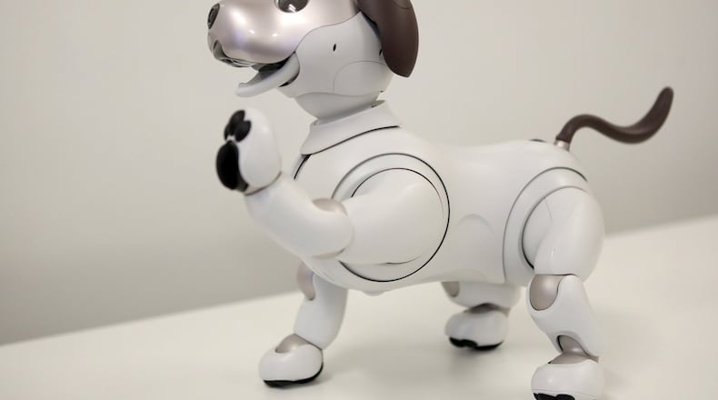 Sony’s aibo, an autonomous robotic dog, holds up a paw and is photographed during a demonstration in Walnut Creek, Calif., on Tuesday, Sept. 11, 2018. Sony has announced plans to offer a limited run for the U.S. of the latest version of their robotic companion for $2,899. (Anda Chu/Bay Area News Group/TNS)