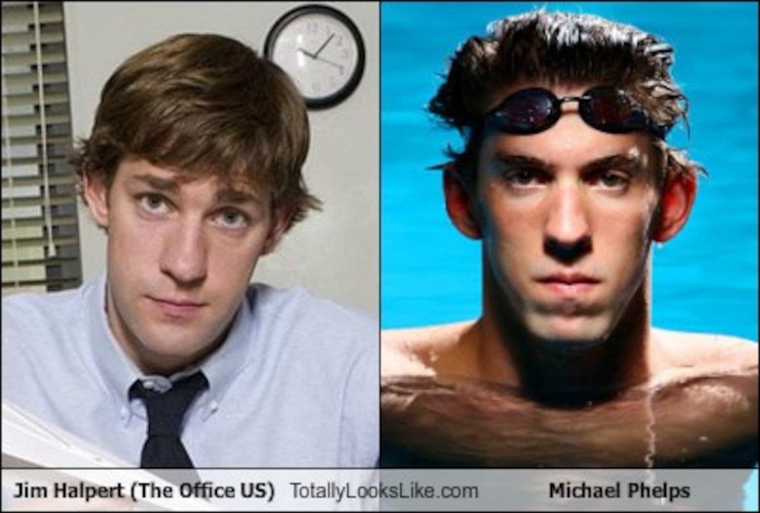 TotallyLooksLike.com