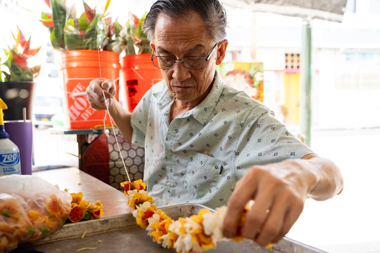 Sam Say, owner of M.P. Lei Shop, strings flowers to make a lei at his shop in Chinatown, Thursday, Feb. 26, 2026, in Honolulu. (AP Photo/Mengshin Lin)