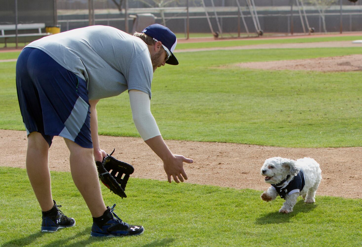 Milwaukee Brewers adopt stray, name it "Hank" after Hank Aaron