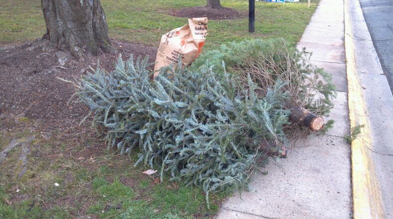 The DeKalb County Sanitation Division offers free Christmas tree curbside collection service.