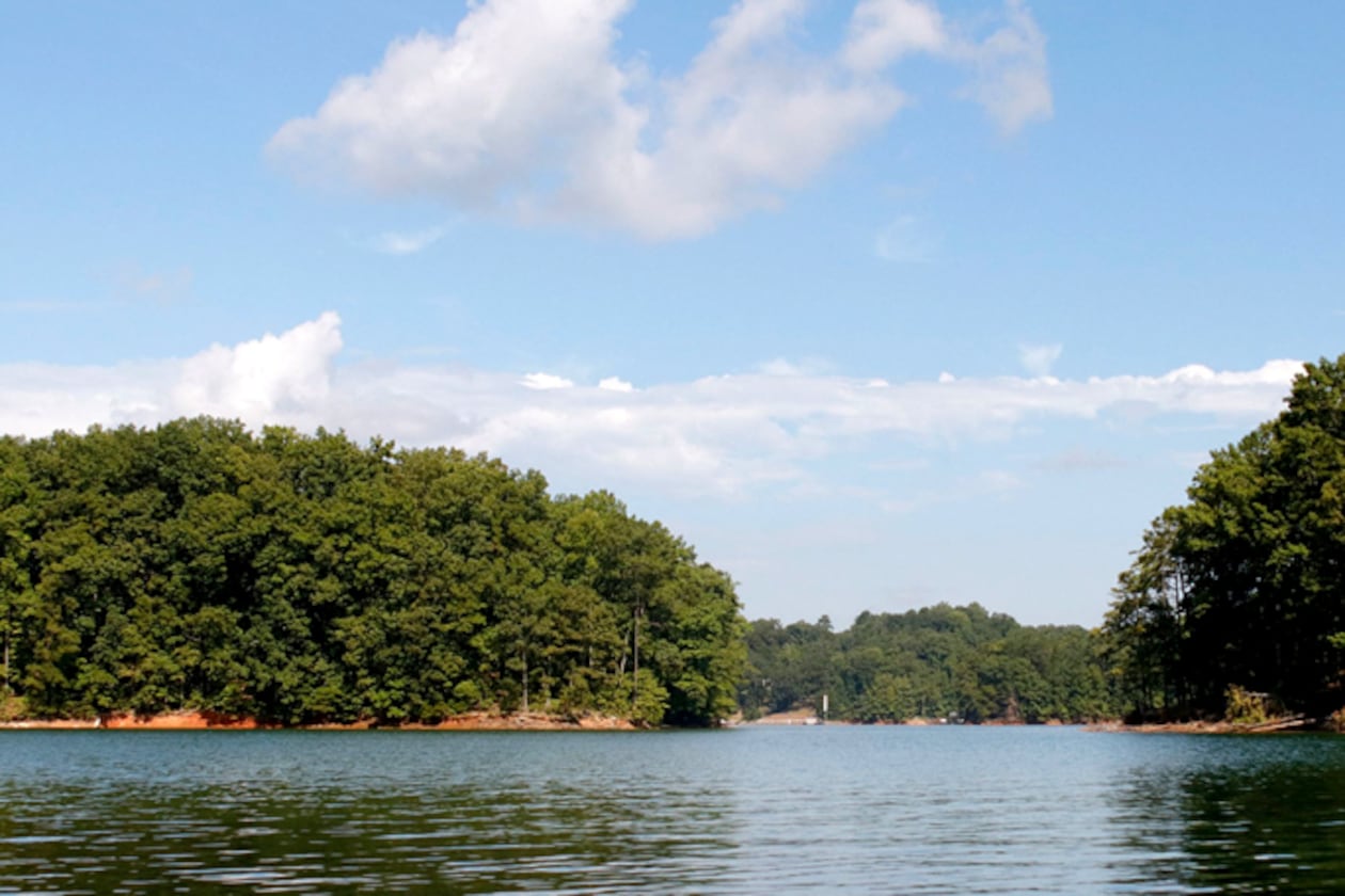 Mmm, delicious delicious algae.