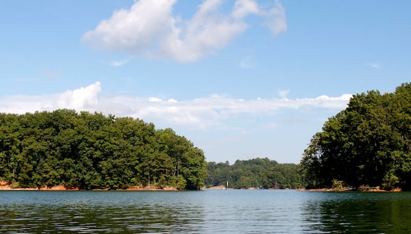 Mmm, delicious delicious algae.