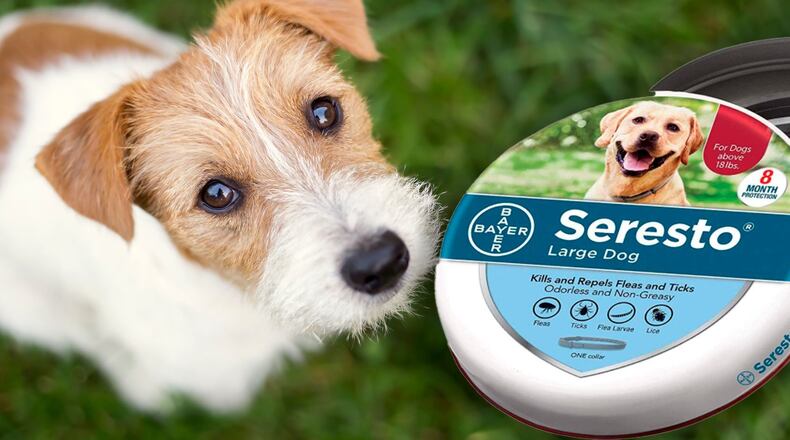 A popular flea and tick collar has been linked to nearly 1,700 pet deaths across the country, according to reports citing documents obtained from the U.S. Environmental Protection Agency. The Seresto collar, which can be worn for months as it releases small amounts of pesticide onto an animal’s fur, is also suspected of sickening or injuring tens of thousands of cats and dogs as well as hundreds of their owners, reports said.