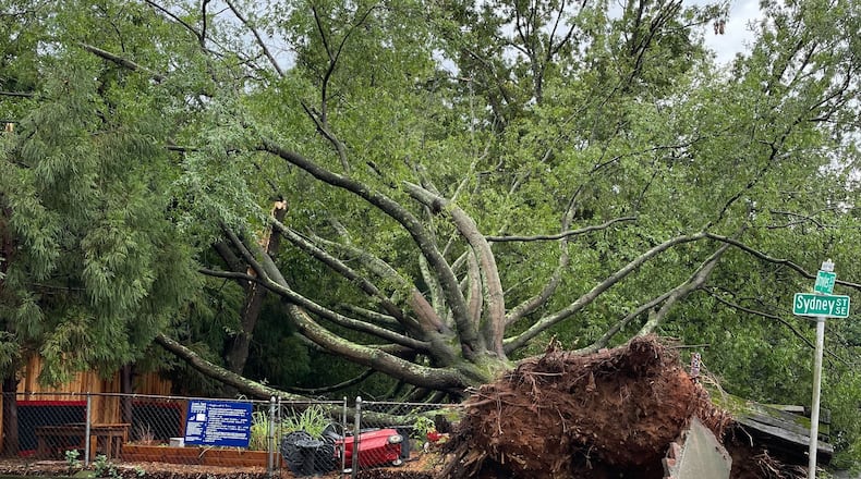 A tree was knocked over Thursday afternoon after heavy downpours swept through Grant Park and other areas of Atlanta.