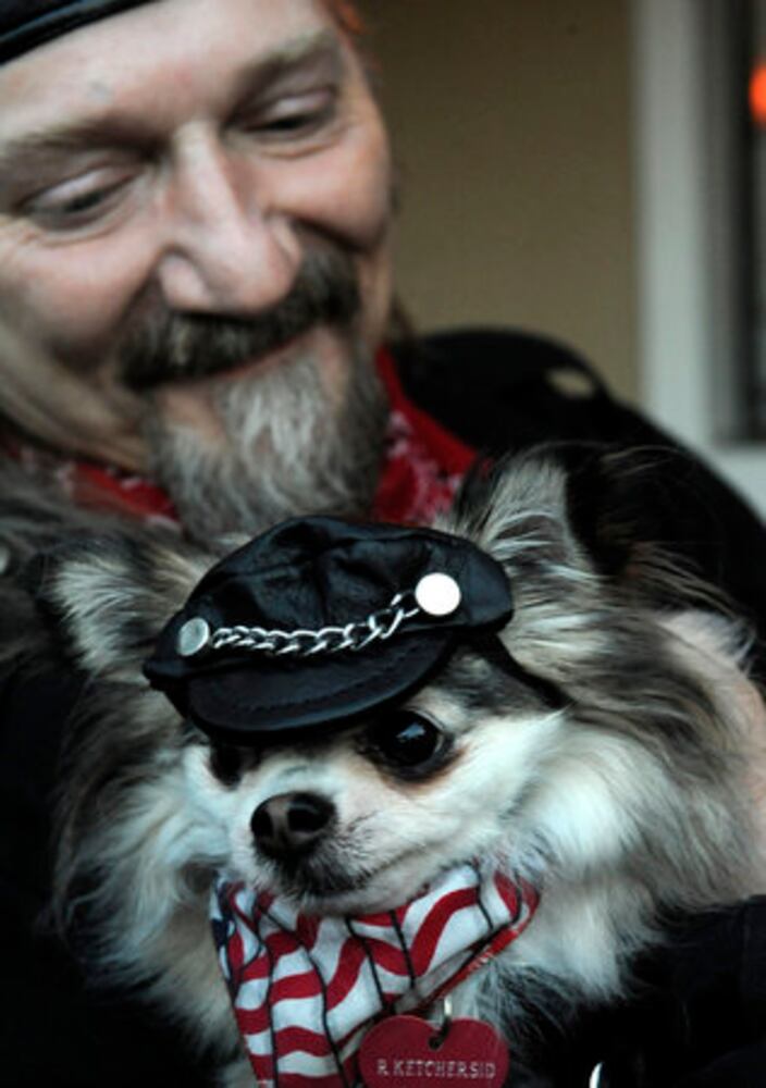 Dogs audition for 'It's Me or the Dog'