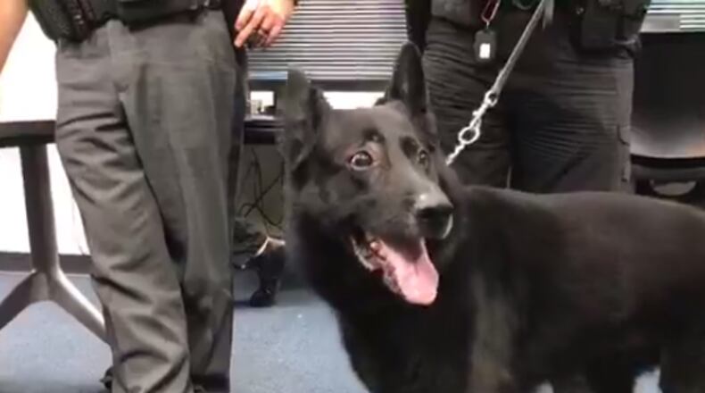 Nico served the Johns Creek Police Department for eight years.