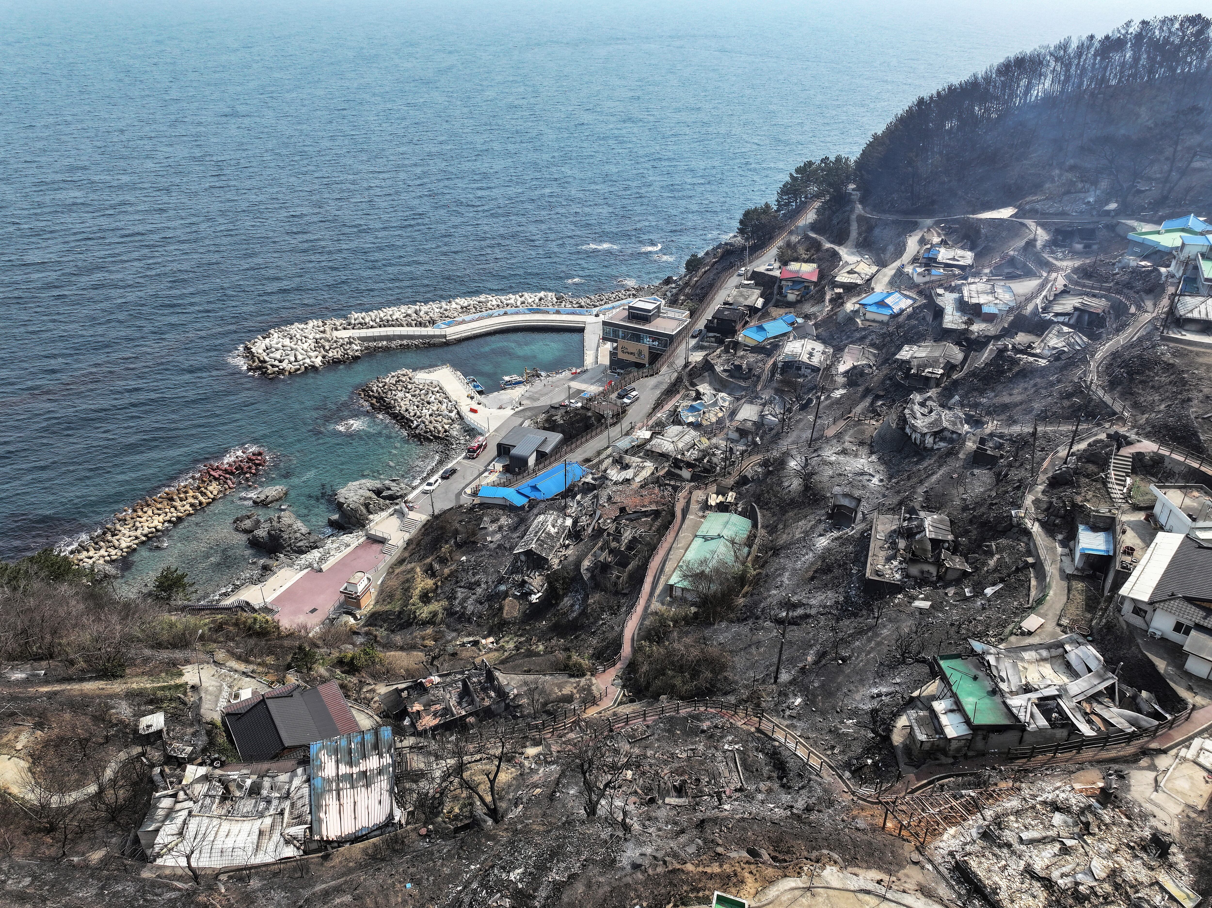 South Korea Wildfire Scene March 2025