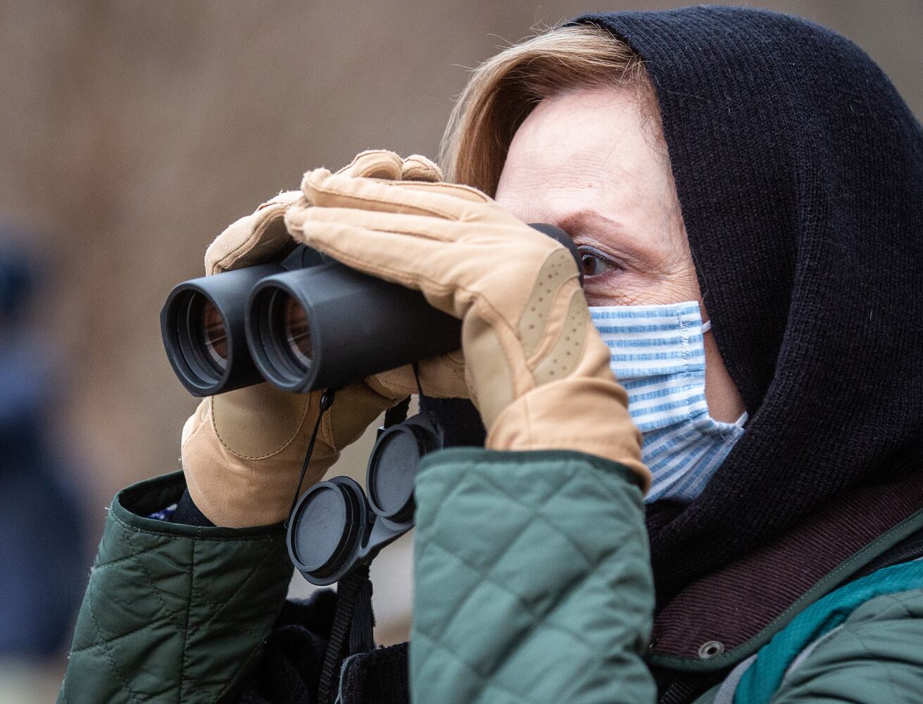 Bird Walk and Wildlife Viewing at Morgan Falls Overlook Park