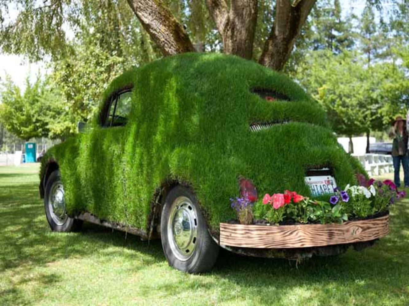 15th Annual Vintage VW Cruise