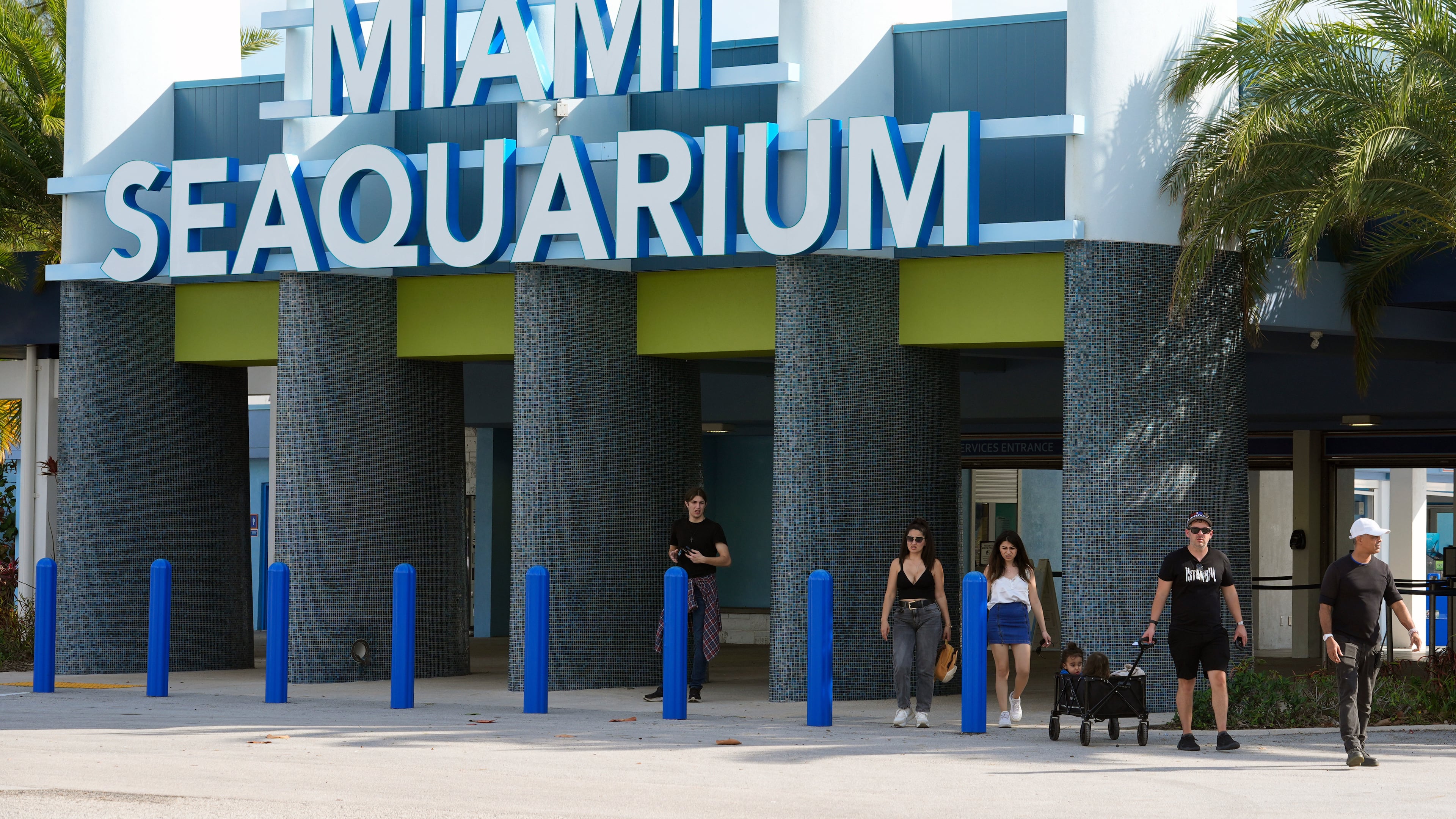 FILE - Visitors exit the Miami Seaquarium, March 7, 2024, in Key Biscayne, Fla. (AP Photo/Marta Lavandier, file)