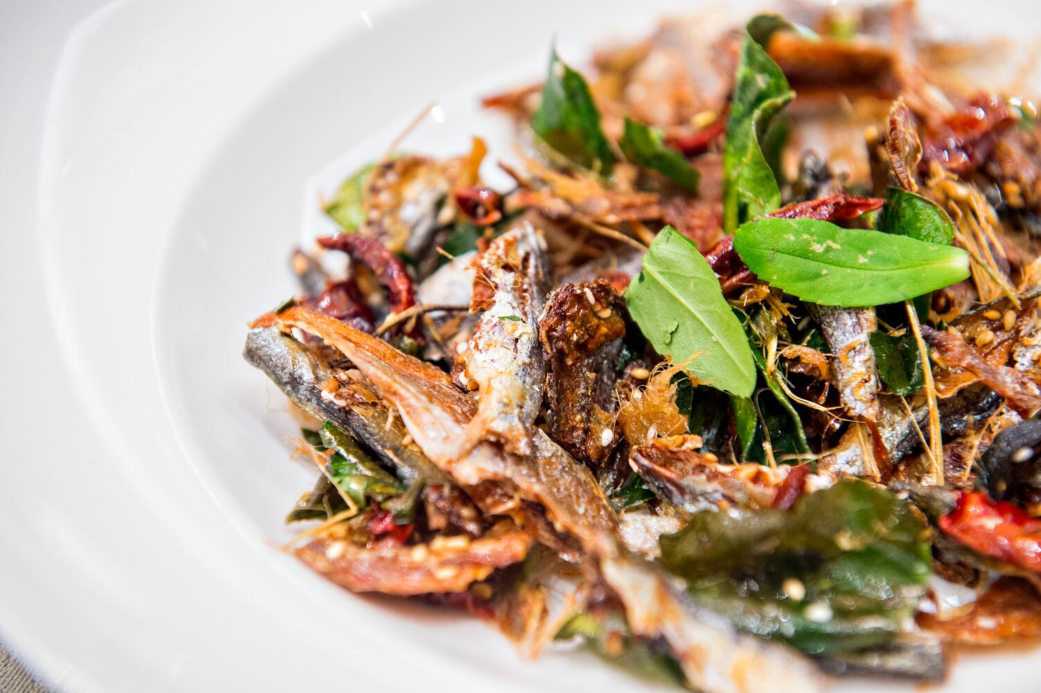 Atlanta Food & Wine Festival 2015