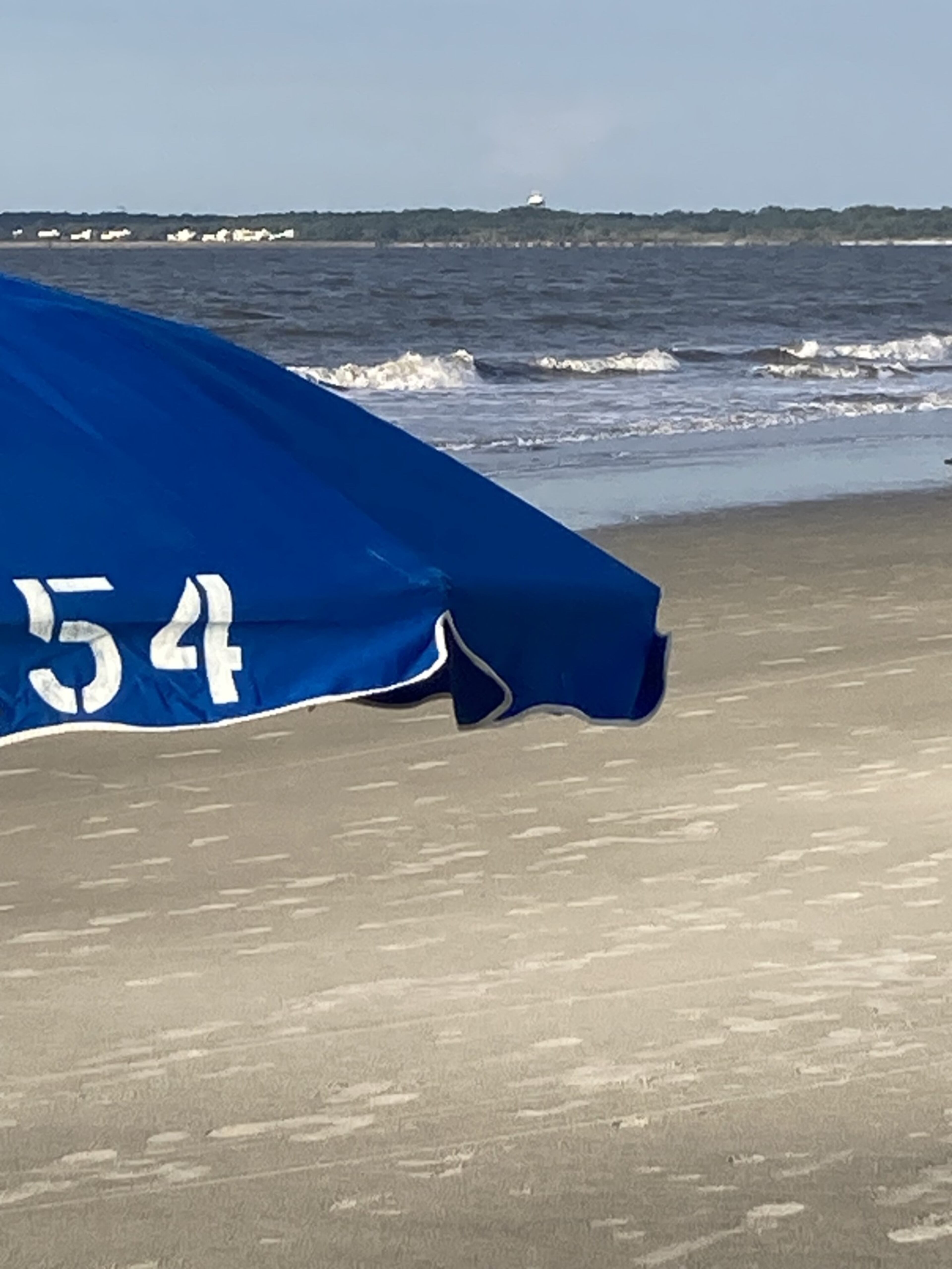 Jekyll Island lies about 1 mile south of St. Simons Island's southern tip. Despite the close proximity, Jekyll's beaches are much more popular with nesting sea turtles than St. Simons' sands. (Adam Van Brimmer/AJC)