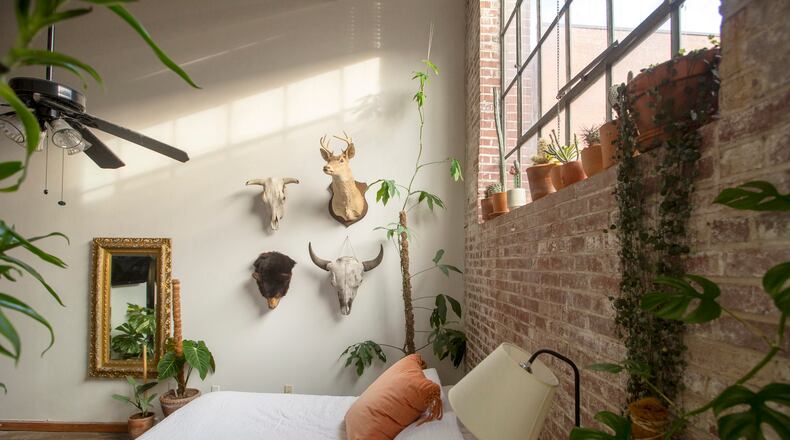 The most important part of decorating with houseplants says Libby Hockenberry, co-owner with husband Cary Smith of The Victorian Atlanta in Old Fourth Ward and East Atlanta Village, is making sure they have adequate light for the plant type. Courtesy of Cary Smith/The Victorian Atlanta